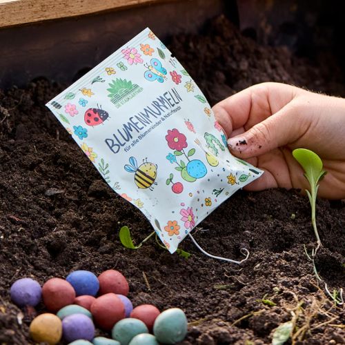 Seed bombs in sachet - Image 3